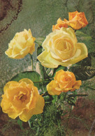 FLORES Vintage Tarjeta Postal CPSM #PAS565.ES - Flowers