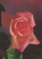 FLORES Vintage Tarjeta Postal CPSM #PAS203.ES - Blumen