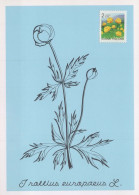 FLORES Vintage Tarjeta Postal CPSM #PAR482.ES - Flowers