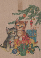 GATO GATITO Animales Vintage Tarjeta Postal CPSM #PAM601.ES - Katzen