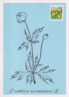 FLEURS Vintage Carte Postale CPSM #PAR483.FR - Flowers