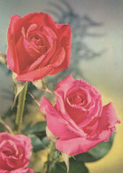 FLEURS Vintage Carte Postale CPSM #PAR903.FR - Flowers