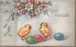 PASCUA POLLO HUEVO Vintage Tarjeta Postal CPA #PKE416.ES - Ostern