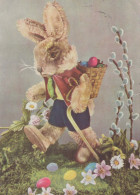 PASCUA CONEJO Vintage Tarjeta Postal CPSM #PBO404.ES - Ostern