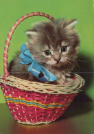 KATZE MIEZEKATZE Tier Vintage Ansichtskarte Postkarte CPSM #PAM103.DE - Katten