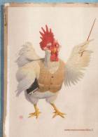 OISEAU Animaux Vintage Carte Postale CPSM #PBR734.FR - Pájaros