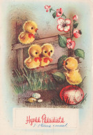 PÂQUES POULET ŒUF Vintage Carte Postale CPSM #PBO845.FR - Pâques