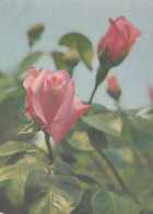 FIORI Vintage Cartolina CPSM #PAR725.IT - Fleurs