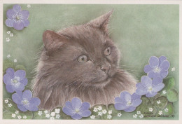 GATTO KITTY Animale Vintage Cartolina CPSM #PAM479.IT - Gatti