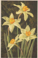 FLOWERS Vintage Ansichtskarte Postkarte CPSMPF #PKG030.DE - Bloemen