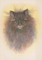 KATZE MIEZEKATZE Tier Vintage Ansichtskarte Postkarte CPSM #PBQ951.DE - Chats