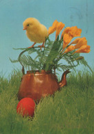 OSTERN HUHN EI Vintage Ansichtskarte Postkarte CPSM #PBP099.DE - Pasqua