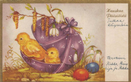 PASQUA POLLO UOVO Vintage Cartolina CPA #PKE419.IT - Ostern