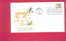 FDC - Lettre De 1981 Des USA EUAN - YT N° 1330 - Antilope - Pronghorned Antelope - Animalez De Caza