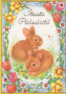 PASQUA CONIGLIO Vintage Cartolina CPSM #PBO534.IT - Pâques