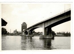 Ref 1 - Photo + Négatif : Pont Des Nibelungen , Worms - Allemagne . - Europe