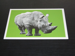 75272-    ANIMALS - NEUSHOORN / RHINO - Rhinozeros