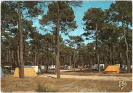 40. Gf. BISCARROSSE. Le Camping De La Plage. 435 - Biscarrosse