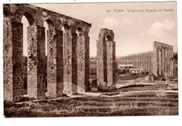 TUNIS, L'aqueduc Romain Du Bardo. - Tunisie