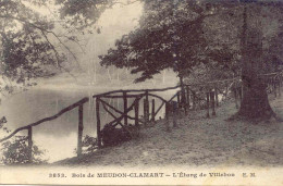 CPA -BOIS DE MEUDON-CLAMART - L'ETANG DE VILLEBON  - Meudon