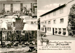 73854526 Struempfelbrunn Gasthof Pension Zum Hirsch Gaststube Wildschweinrudel S - Altri & Non Classificati