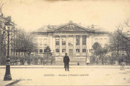 CPA - NANTES - MUSEUM D'HISTOIRE NATURELLE - Nantes