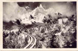 CPSM - CHAMONIX - CHEMIN DE FER DU MONTENVERS, LE DRU ET L'HOTEL - Chamonix-Mont-Blanc