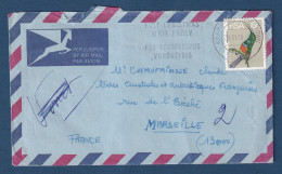 Afrique Du Sud - Sur Lettre - Par Avion - Terres Australes Et Antarctiques Française - TAAF - 1980 - Antarktis-Expeditionen