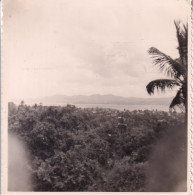 MARTINIQUE(FORT DE FRANCE) PHOTO - Oceanía