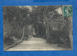 CPA - 06 - Cap Martin - L'Allée Principale Sous Bois - Circulée En 1914 - Roquebrune-Cap-Martin