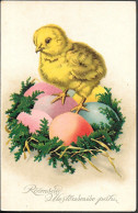 Estonia Easter Chicken Eggs Old PPC Pre 1940 - Pâques