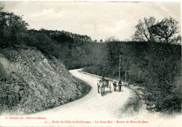 CPA - SILLE-LE-GUILLAUME - FORET - LE GROS ROC - ROUTE DE MONT-St-JEAN - Sille Le Guillaume