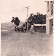 MARTINIQUE(CARBET) PHOTO - Europa