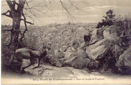 CPA - FONTAINEBLEAU - DANS LES GORGES DE FRANCHARD (BELLE CARTE EN T.B. ETAT) - Fontainebleau
