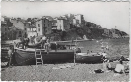 BANYULS  SUR MER   LE CAP DOUNE  BATEAUX PECHEURS  ANNEE 1955 - Banyuls Sur Mer