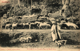 UN BERGER ET SON TROUPEAU DANS LES MONTS DORES - Le Mont Dore