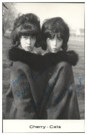 Y28988/ Sängerin Duo  Cherry - Cats Autogramm Autogrammkarte  60/70er   - Autógrafos