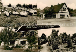 73852851 Holm-Seppensen Schafherde Cafe Kuehn Terrasse Park Holm-Seppensen - Buchholz