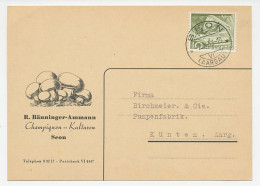 Illustrated Card Switzerland 1953 Mushroom - Mushrooms