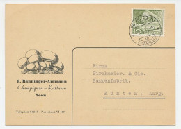 Illustrated Card Switzerland 1953 Mushroom - Pilze