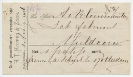 Leerdam - Apeldoorn 1876 - Pacschuit Rotterdam - Storia Postale