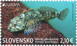 Slovakia.2024.Europa CEPT.Underwater Fauna And Flora.Alpine Bullhead (Cottus Poecilopus).1 V. ** . - Peces