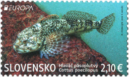 Slovakia.2024.Europa CEPT.Underwater Fauna And Flora.Alpine Bullhead (Cottus Poecilopus).1 V. ** . - 2024