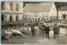 13506305 - Berggiesshuebel - Bad Gottleuba-Berggiesshübel