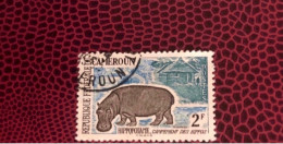 CAMEROUN 1962 1v Oblitérée YT 342 Mammifère Mammal Mamífero Saügetier CAMEROON - Autres & Non Classés