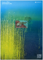 Slovakia.2024.Europa CEPT.Underwater Fauna And Flora.Alpine Bullhead (Cottus Poecilopus).Collection Sheet . - Poissons