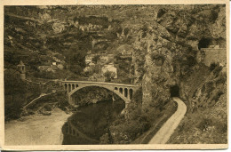 CPA - SAINT-CHELY - GORGES DU TARN - Saint Chely D'Apcher