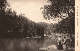 H1652 - Oberhof - Der Silberteich - Verlag Carl Simon Schmalkalden - Oberhof