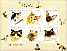 Romania 2006, Cats - Imperforate S/s MNH - Gatos Domésticos