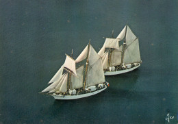 - Les Deux Goélettes: L'Etoile Et La Belle Poule - Scan Verso - - Sailing Vessels